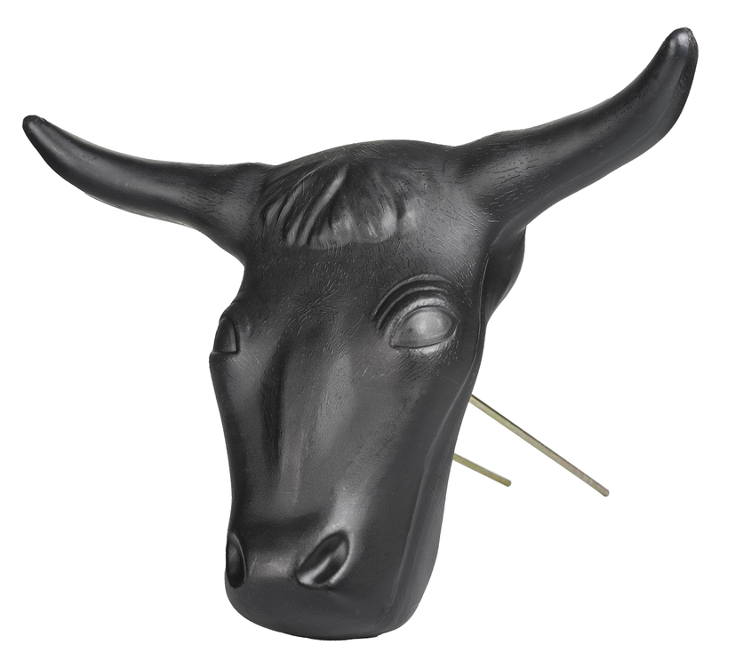 Steer Head with Spikes