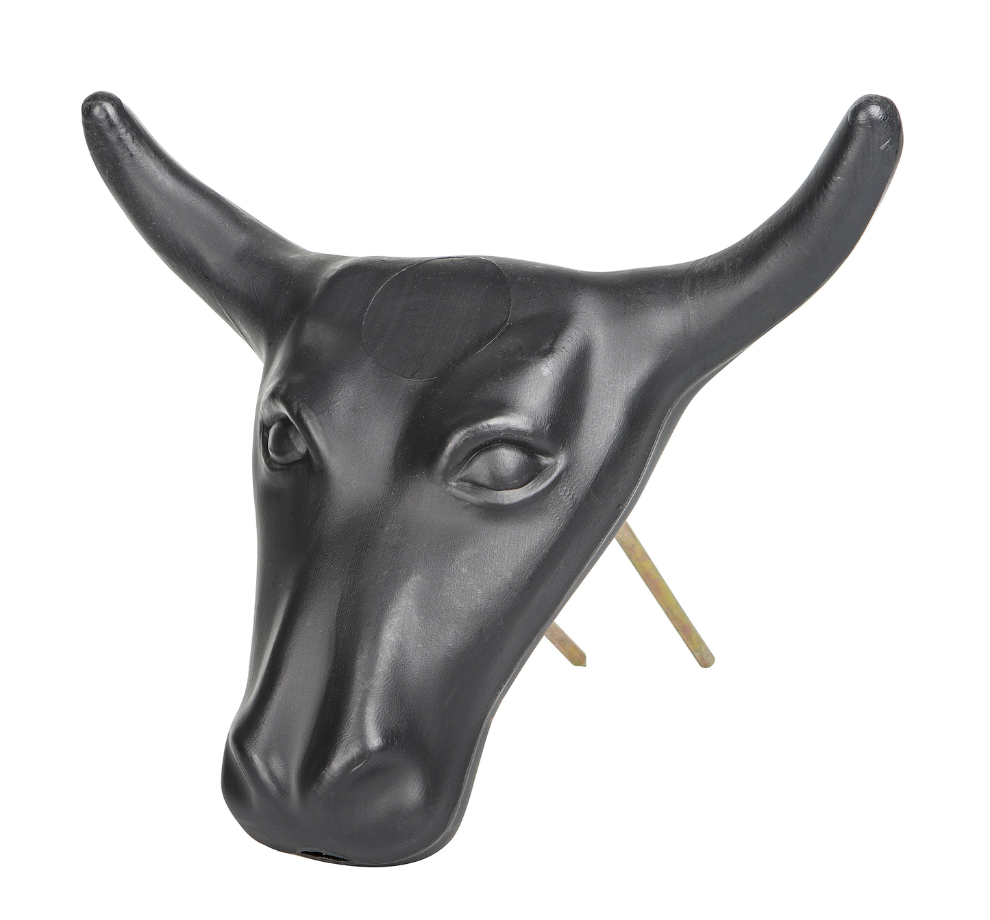 Junior Steer Head with Spikes